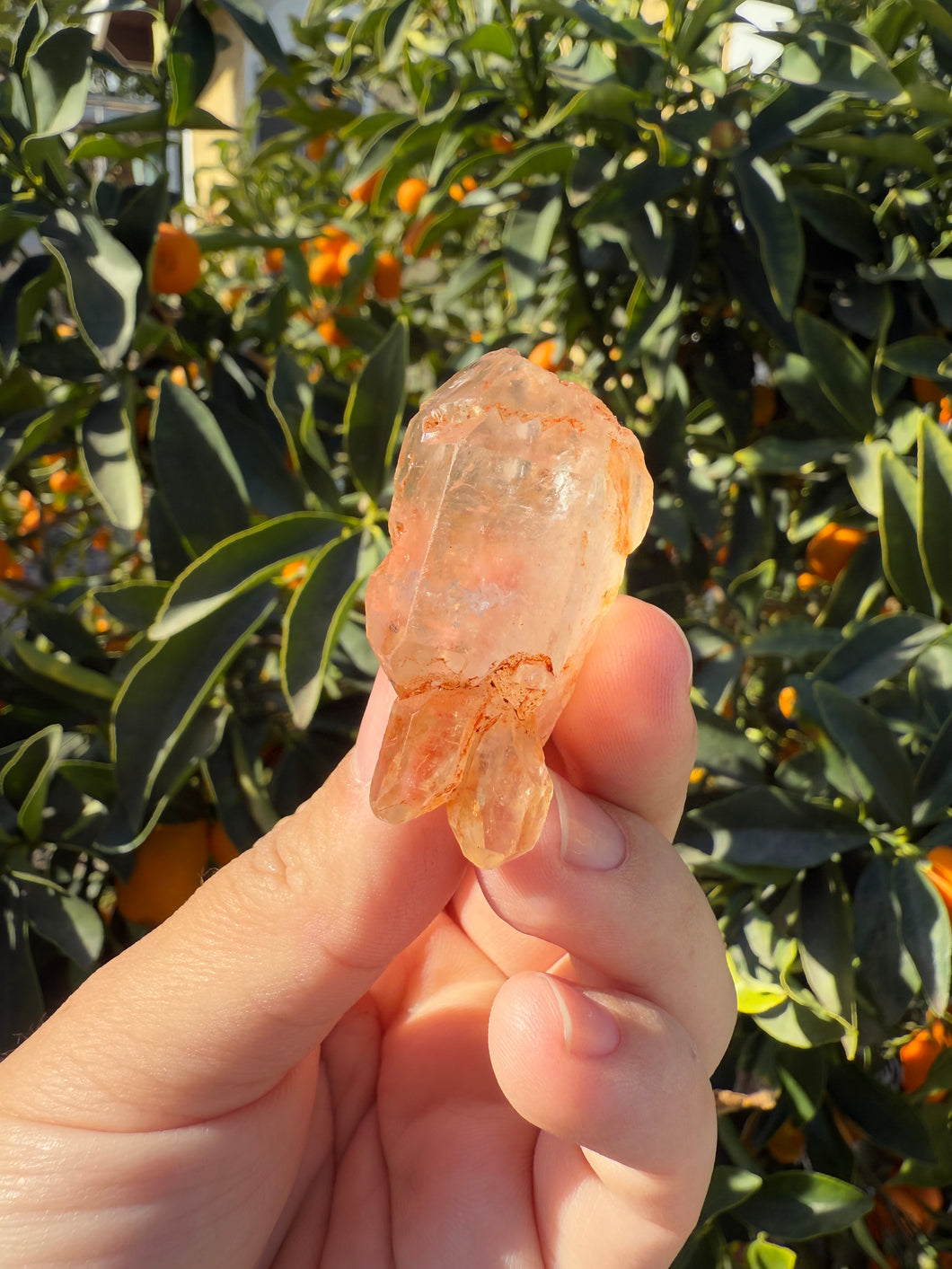 Red Mud Skeletal Quartz Crystal Point ,Red Mud Quartz ,#984