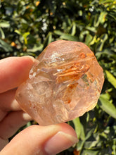 Load image into Gallery viewer, Red Mud Skeletal Quartz Crystal Point ,Petroleum Oil Quartz #03
