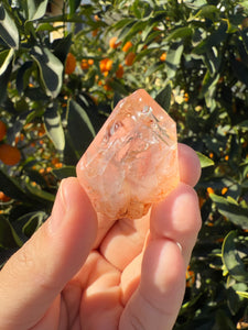 Red Mud Skeletal Quartz Crystal Point ,Red Mud Quartz ,#981