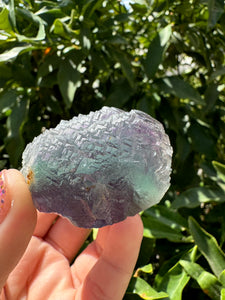 Purple green Gradient Fluorite Mineral Specimen