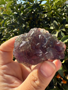 Grape Purple Cubic Fluorite Cluster, Healing Crystal Mineral Specimen