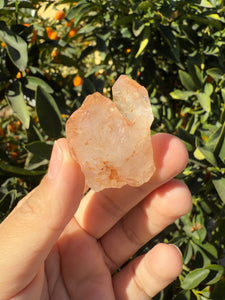 Red Mud Skeletal Quartz Crystal Point ,Red Mud Quartz,#990