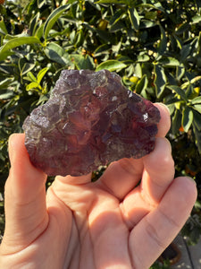 Grape Purple Cubic Fluorite Cluster, Healing Crystal Mineral Specimen