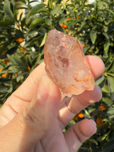 Red Mud Skeletal Quartz Crystal Point ,Red Mud Quartz,#987