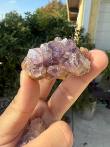 3pcs Natural Amethyst Druzy Quartz Cluster