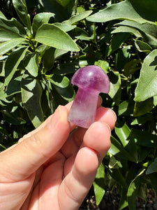 Mini Fluorite Mushroom Carving-1.43in