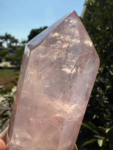 589g Rose Quartz Obelisk,Natural Polished Crystal Point, A60