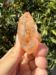 Red Mud Skeletal Quartz Crystal Point ,Petroleum Oil Quartz #02