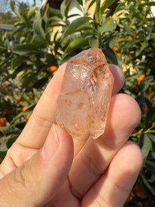 Red Mud Skeletal Quartz Crystal Point ,Red Mud Quartz,#987