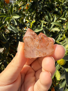 Red Mud Skeletal Quartz Crystal Point ,Petroleum Oil Quartz,#01