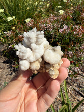 Load image into Gallery viewer, Botryoidal Druzy Calcite UV Reactive Phosphorescent Crystal Cluster,A467
