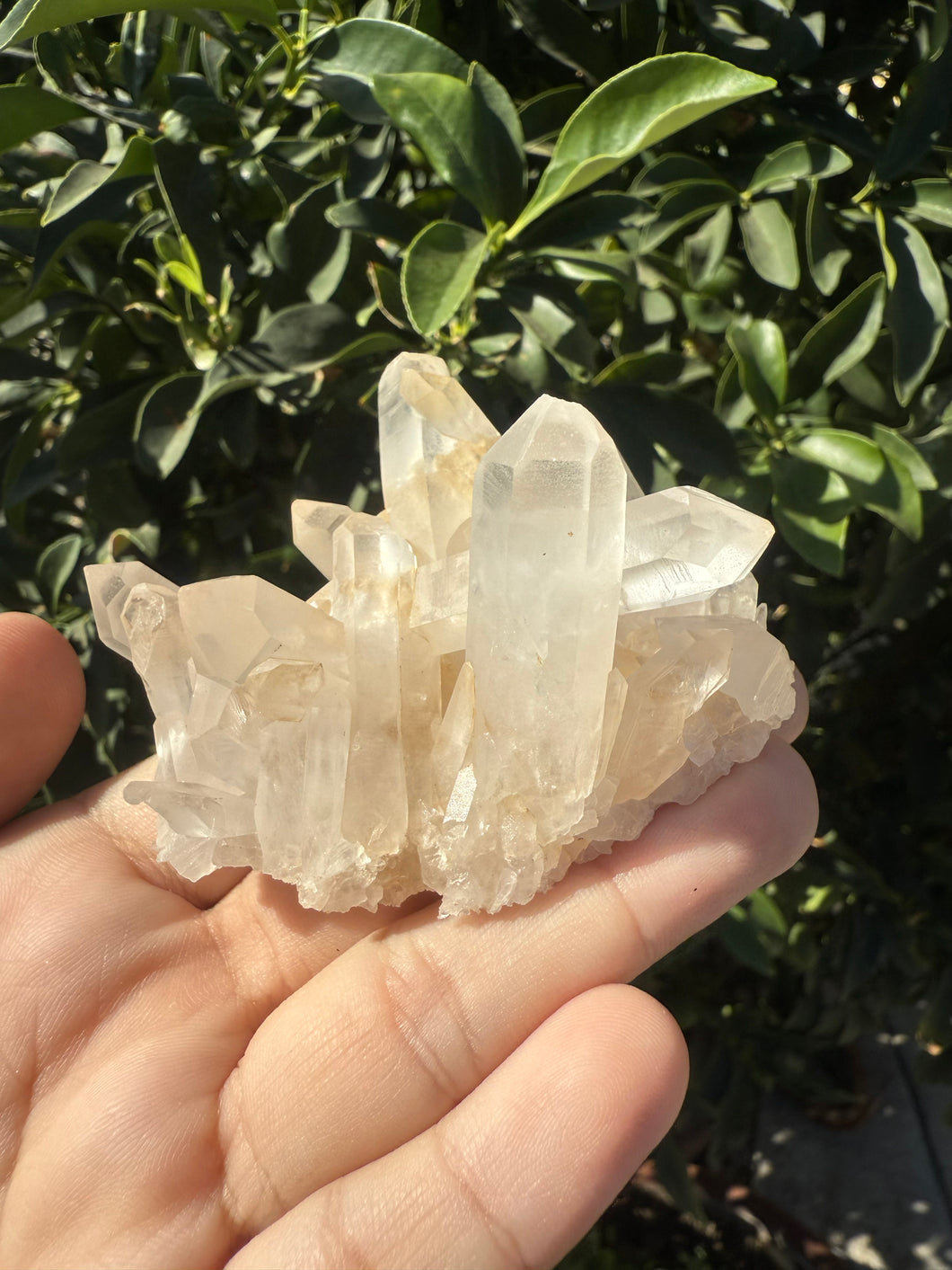 Small Raw Clear Quartz Cluster,98.2g