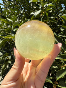 Lemon Yellow Candy Fluorite Sphere, Stunning Green Fluorite Ball,A113