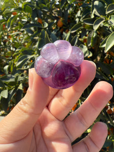 Large Purple Fluorite Paw