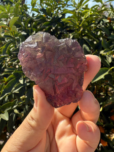 Grape Purple Cubic Fluorite Cluster, Healing Crystal Mineral Specimen