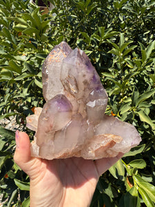 Double Enhydro Amethyst Cluster – Natural Water Bubble Quartz, A47