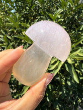 Load image into Gallery viewer, Large Natural Light Pink Fluorite Mushroom Crystal | Fluorite Mushroom Sculpture
