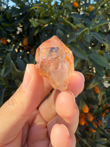 Red Mud Skeletal Quartz Crystal Point ,Red Mud Quartz ,#978