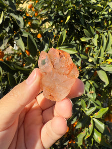 Red Mud Skeletal Quartz Crystal Point ,Red Mud Quartz,#991