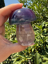 Load image into Gallery viewer, Large Natural Purple Green Fluorite Mushroom Crystal Fluorite Mushroom Sculpture
