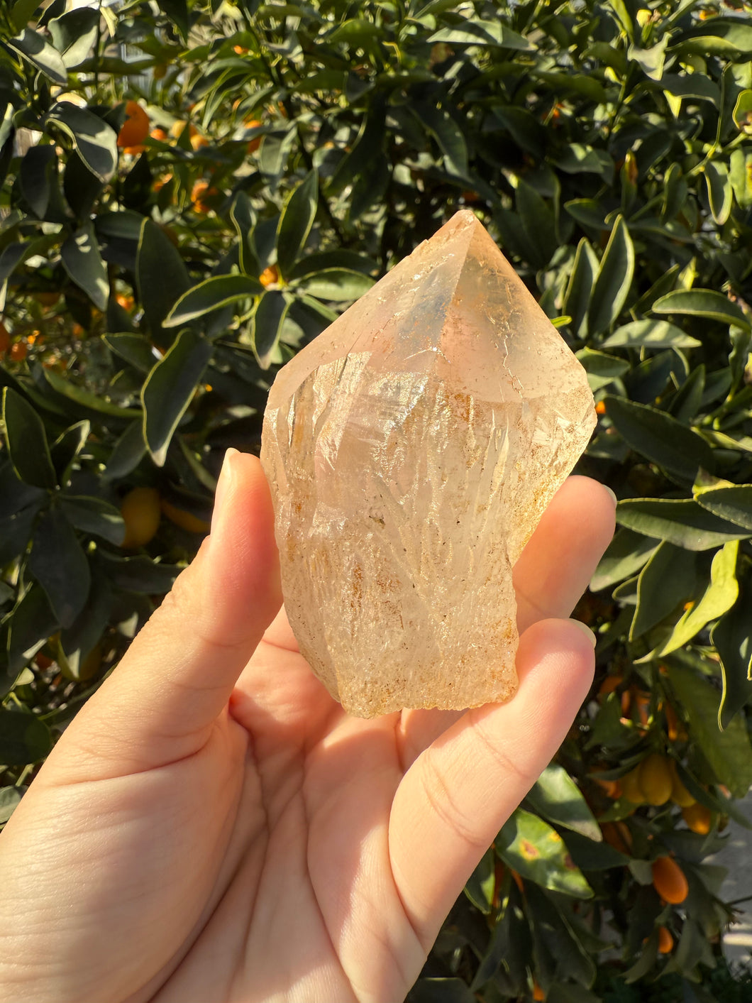 Raw Himalayan Quartz Crystal with Unique Natural Patterns