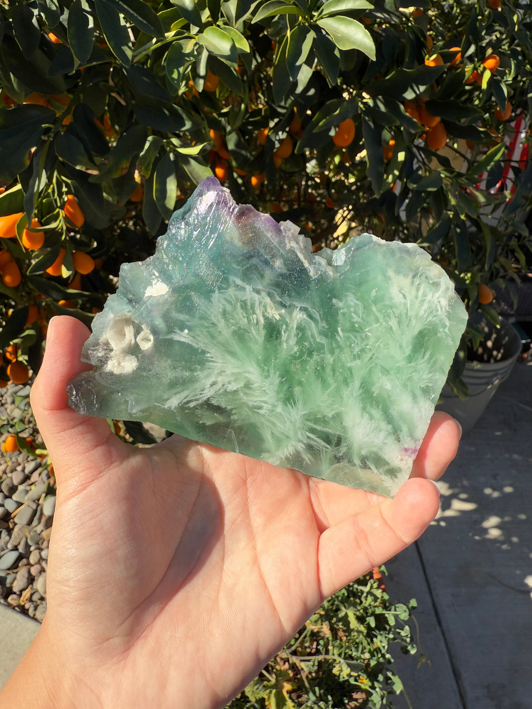 Large Blue and Purple Feather Fluorite Mineral Specimen -Snowflake Fluorite Slab