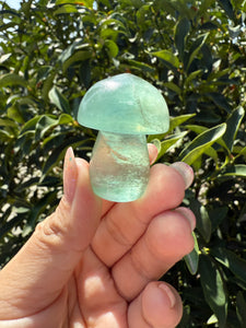 Small Green Kelp Fluorite Mushroom Carving-Fluorite Gemstone Mushroom,A139