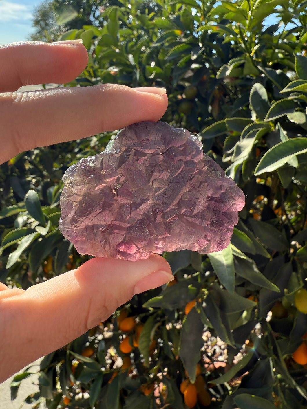 Grape Purple Cubic Fluorite Cluster, Healing Crystal Mineral Specimen