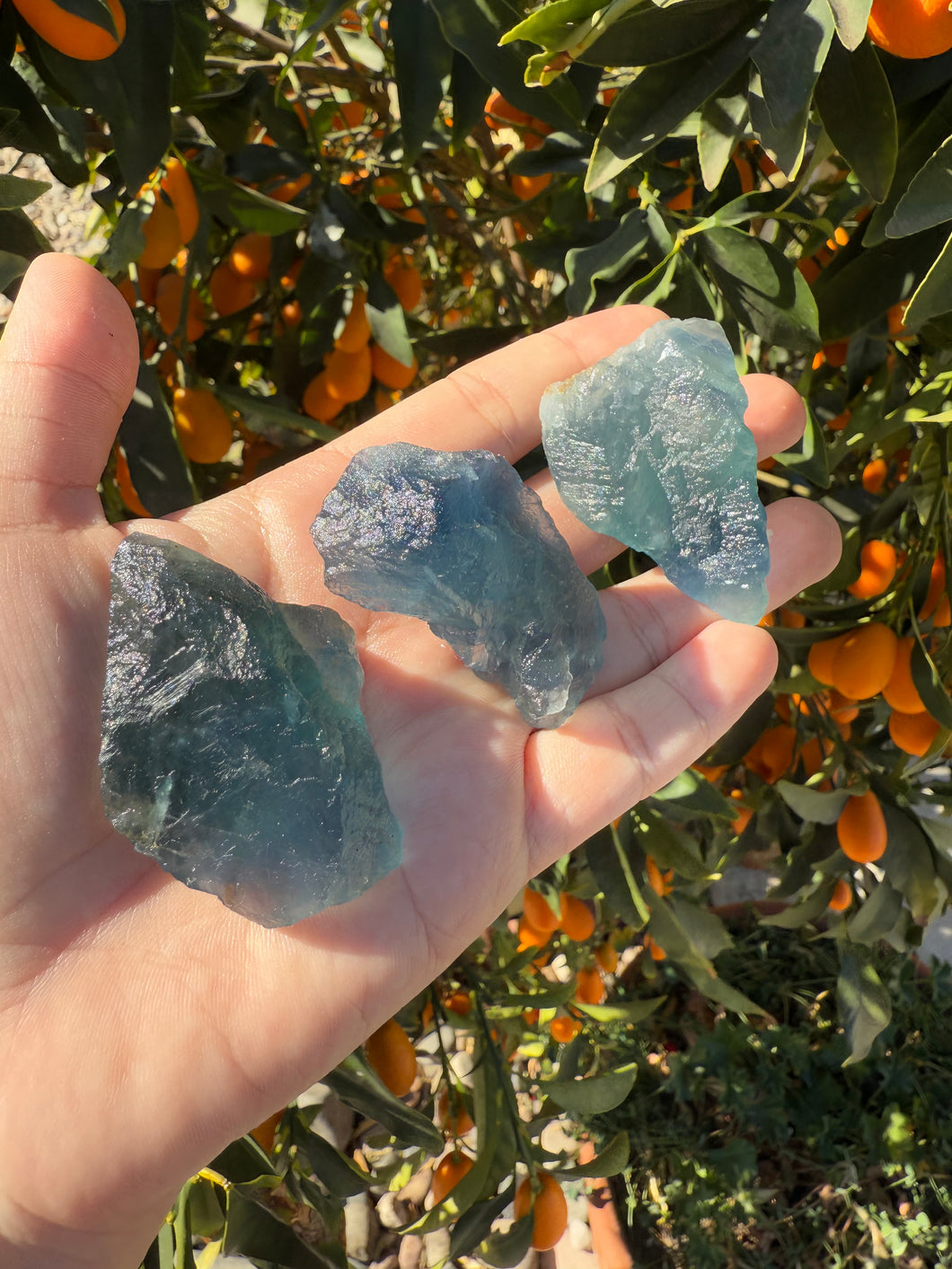 3pcs Fluorite Crystal Rough Bulk,High Quality Blue Fluorite-C