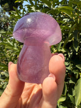 Load image into Gallery viewer, Large Natural Purple Fluorite Mushroom Crystal | Fluorite Mushroom Sculpture
