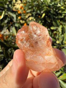 Red Mud Skeletal Quartz Crystal Point ,Red Mud Quartz,#991