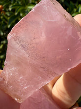 Load image into Gallery viewer, 2pcs Natural Rose Quartz with Unique Tree
