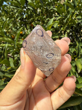 Load image into Gallery viewer, Natural Enhydro Quartz Crystal with Moving Water Bubble,A130
