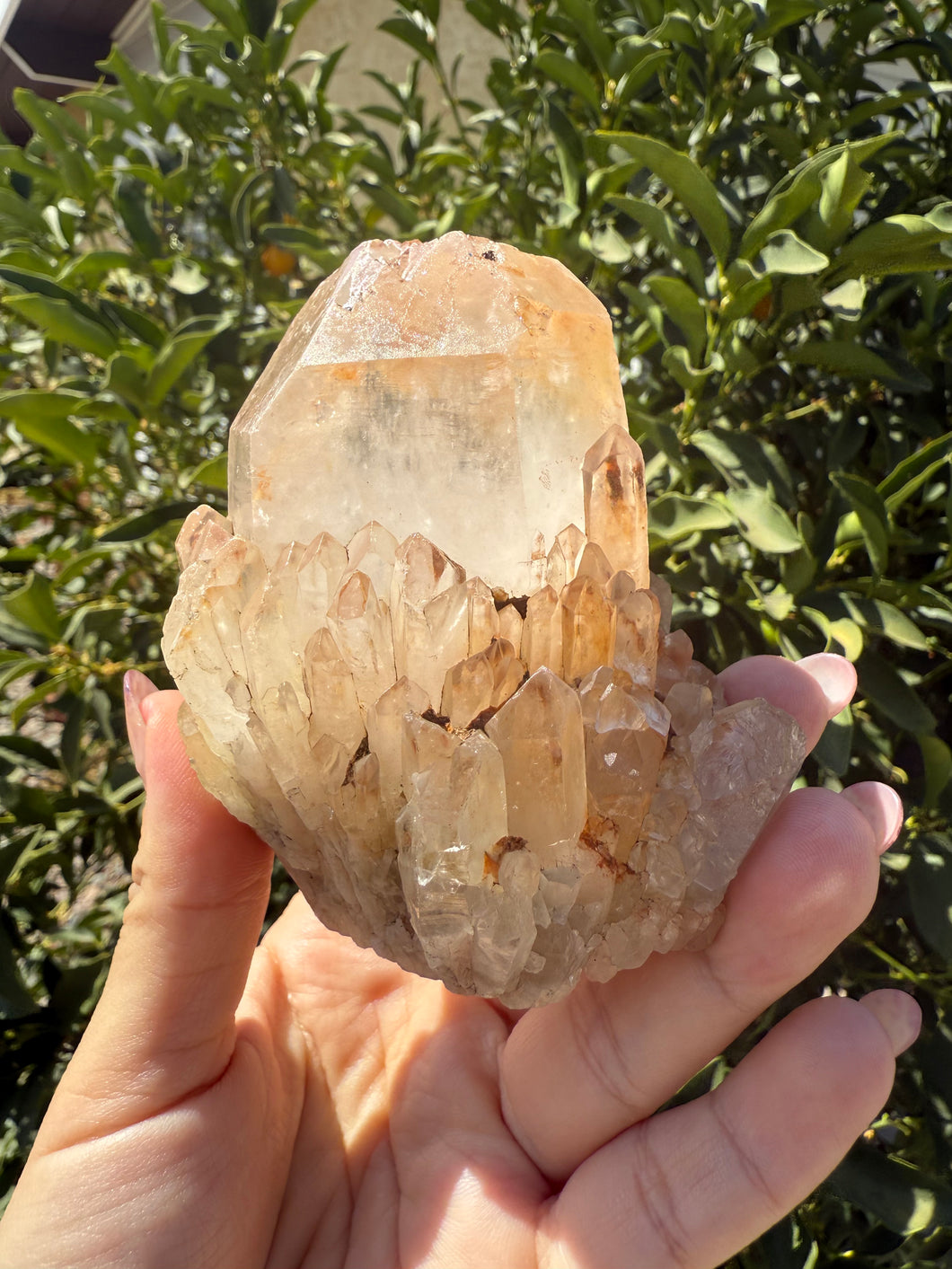 Natural Pineapple Quartz Cluster, Madagascar Candle Quartz, A94