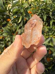 Red Mud Skeletal Quartz Crystal Point ,Red Mud Quartz,#987