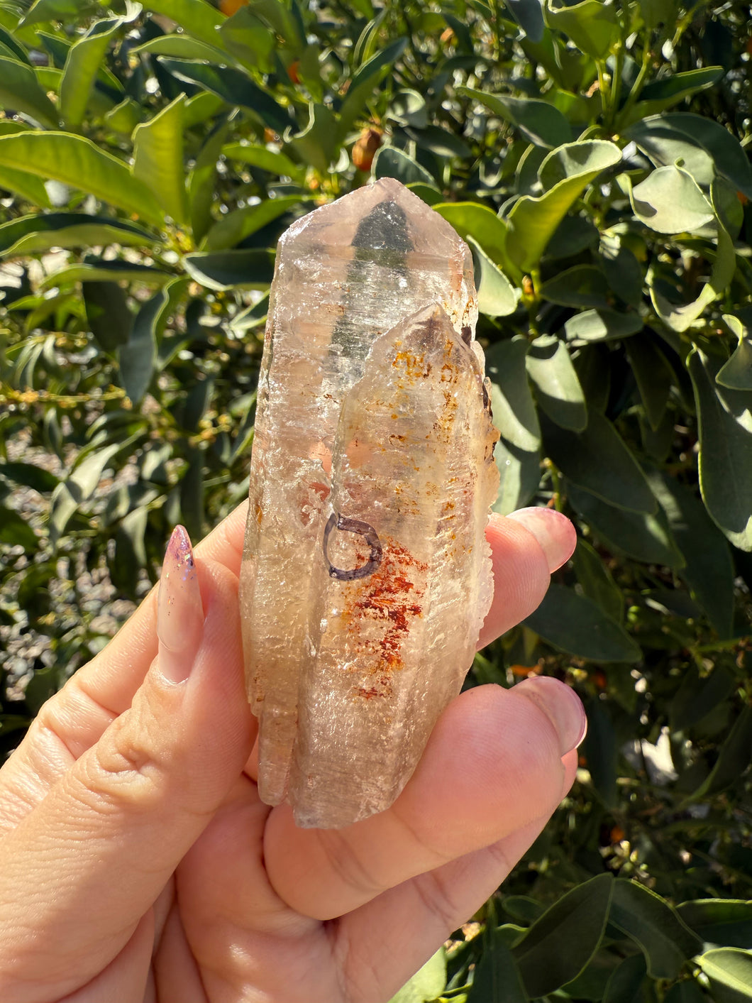 Trigonic Enhydro Quartz from Madagascar,Crystal Point with Water Inclusion,A99