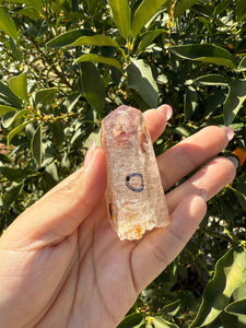 Trigonic Enhydro Quartz from Madagascar,Crystal Point with Water Inclusion,A98