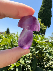 Small Fluorite Mushroom Carving-1.81in