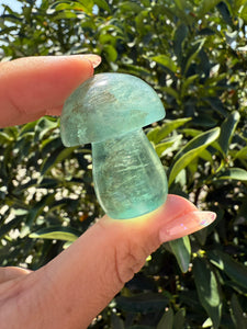 Small Green Kelp Fluorite Mushroom Carving-Fluorite Gemstone Mushroom,A139