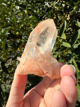 Load image into Gallery viewer, Clear Quartz Crystal Cluster,Natural Mineral Specimen,Raw Cluster,A243
