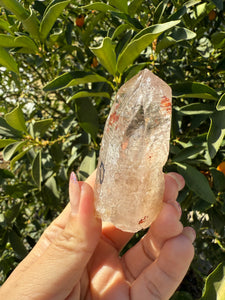 Trigonic Enhydro Quartz from Madagascar,Crystal Point with Water Inclusion,A98