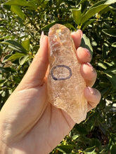 Load image into Gallery viewer, Trigonic Enhydro Quartz from Madagascar,Crystal Point with Water Inclusion,A100
