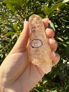 Trigonic Enhydro Quartz from Madagascar,Crystal Point with Water Inclusion,A100