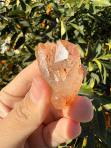 Red Mud Skeletal Quartz Point ,Red Mud Quartz ,#993