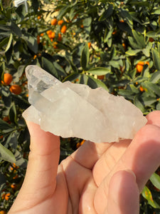 On Sale!Raw Clear Quartz Cluster,#S13