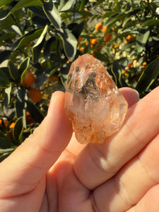 Red Mud Skeletal Quartz Crystal Point ,Red Mud Quartz ,#981