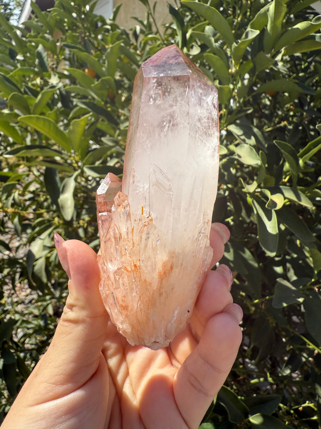 Natural Pineapple Quartz Cluster, Madagascar Candle Quartz, A95