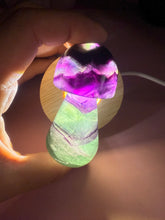 Load image into Gallery viewer, Dark Purple Green Fluorite Mushroom
