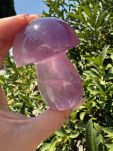 Load image into Gallery viewer, Large Natural Purple Fluorite Mushroom Crystal | Fluorite Mushroom Sculpture
