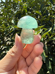 Small Green Kelp Fluorite Mushroom Carving-Fluorite Gemstone Mushroom,A139